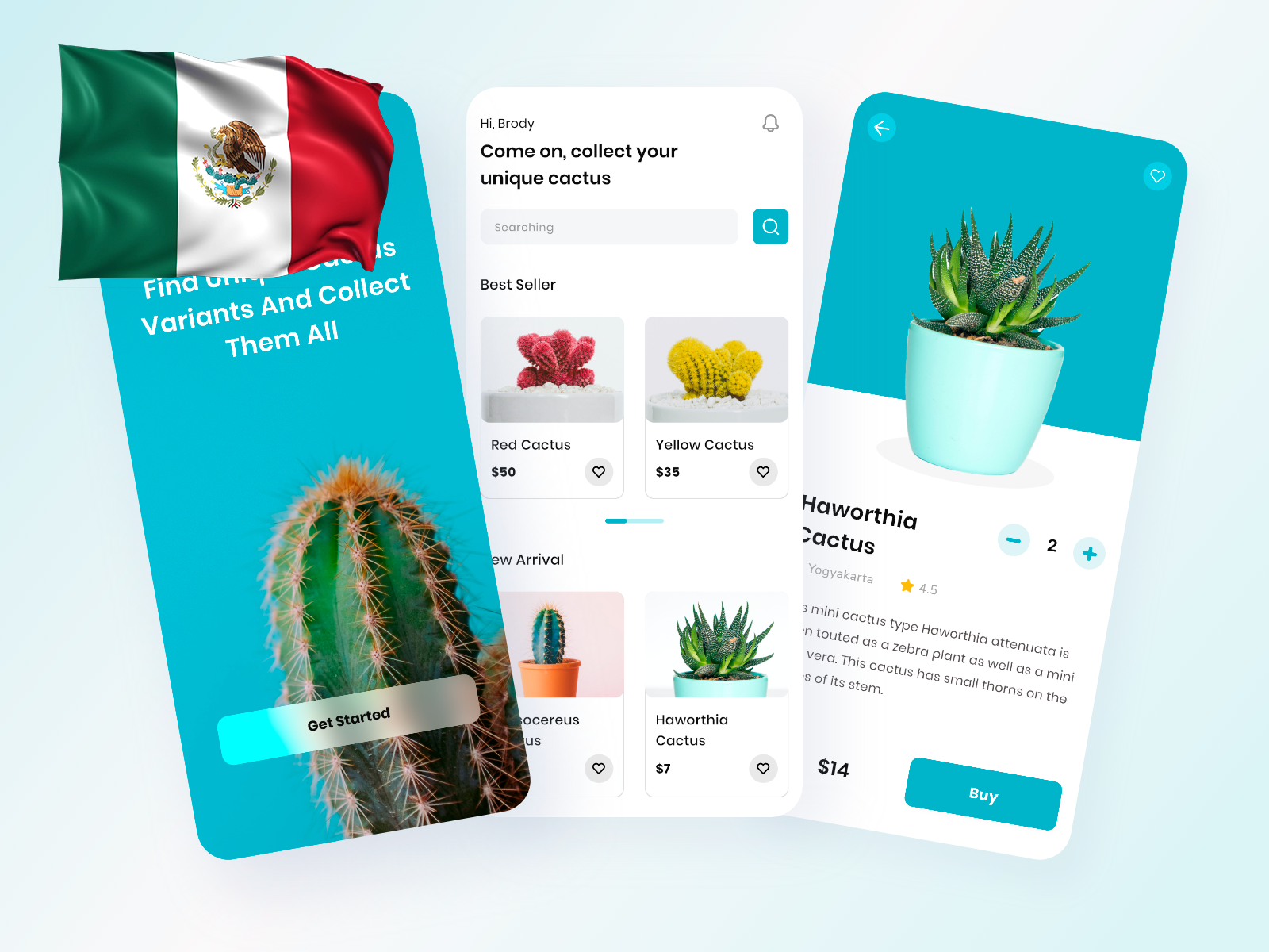desarrollo app México